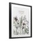 Stupell Industries Be Still and Know Botanicals Framed Print Under Glass, design by Cindy Jacobs
